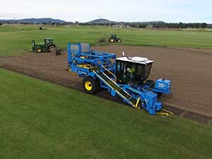 Turf_at_bunnings__0000_Farm fresh