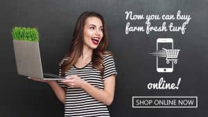 Web_Banner_Store-girl