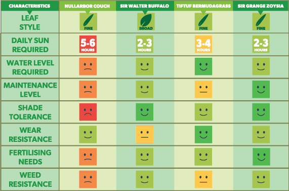 Premium turf grass comparison chart