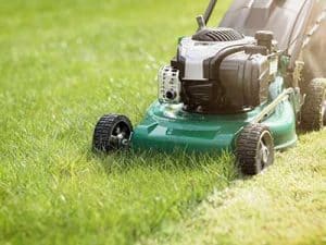 Winter_lawn__0000_Mower