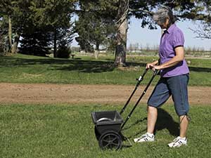 Winter_lawn_tips__0003_winter fertiliser