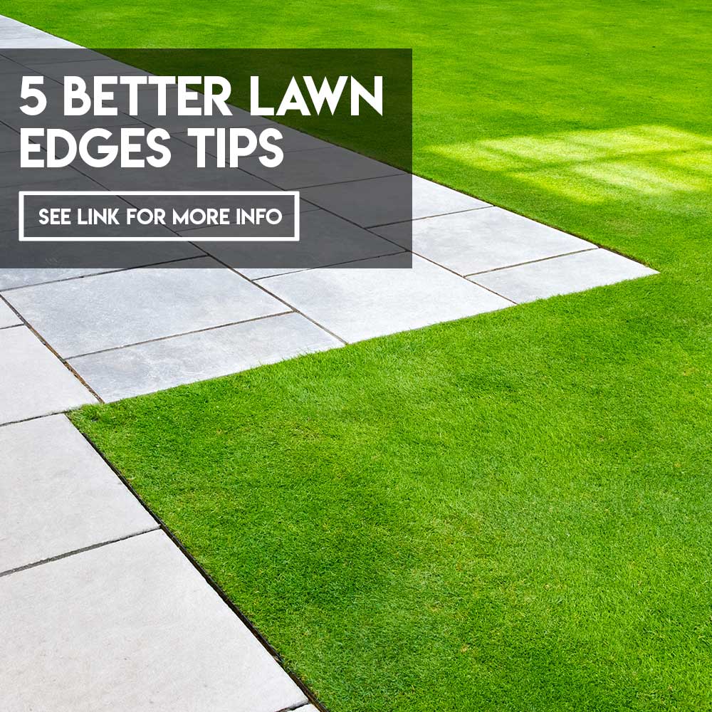 Turf Tips 5 Tips for better lawn edges