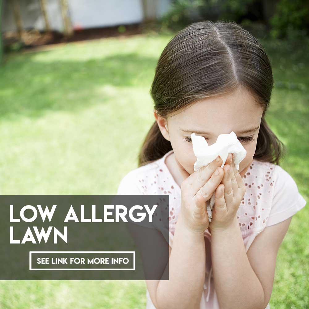 Turf Tips Low allergy lawn