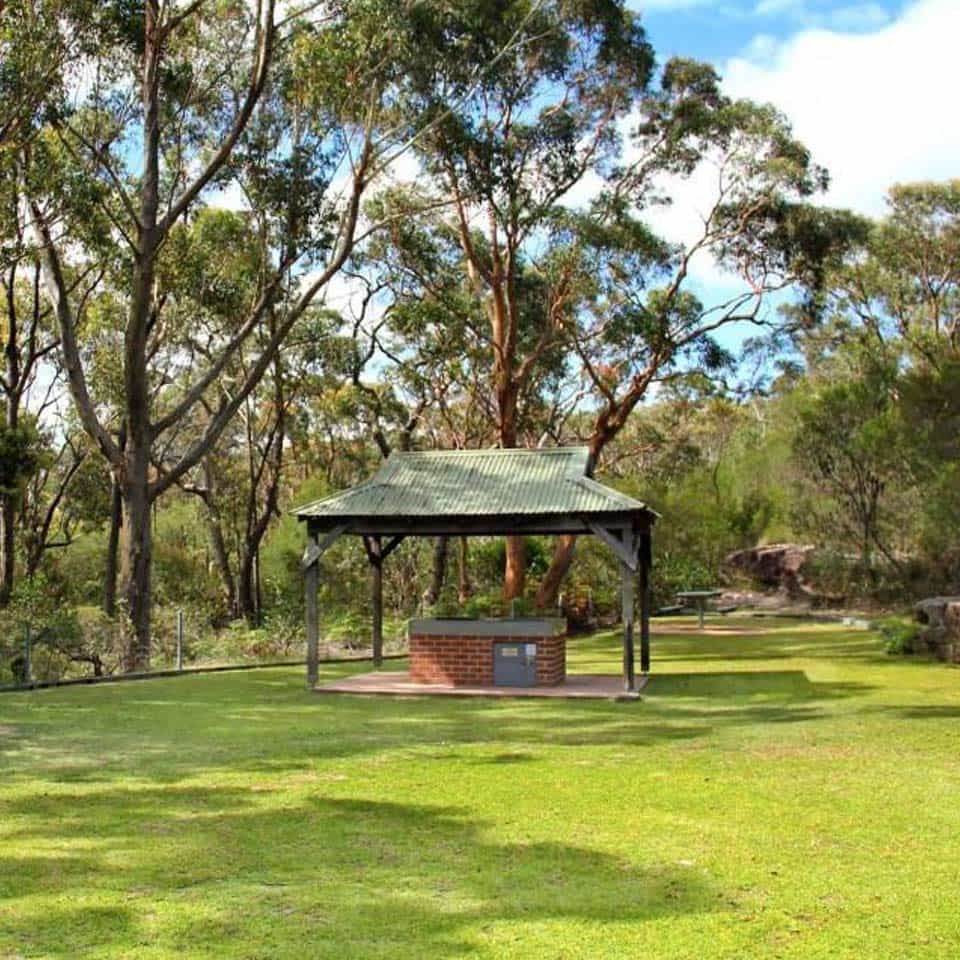 Nullarbor Couch Brisbane grass supplier Jimboomba Turf