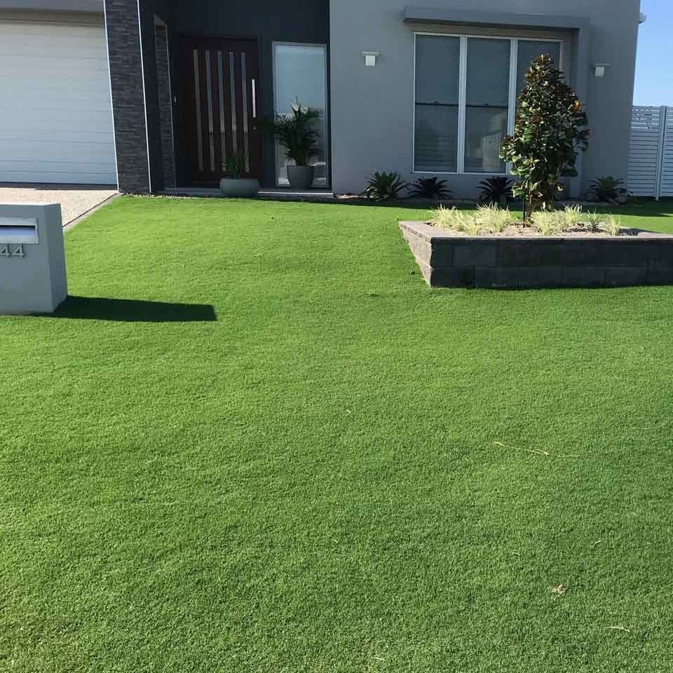 TifTuf Bermuda Turf Brisbane grass supplier Jimboomba Turf