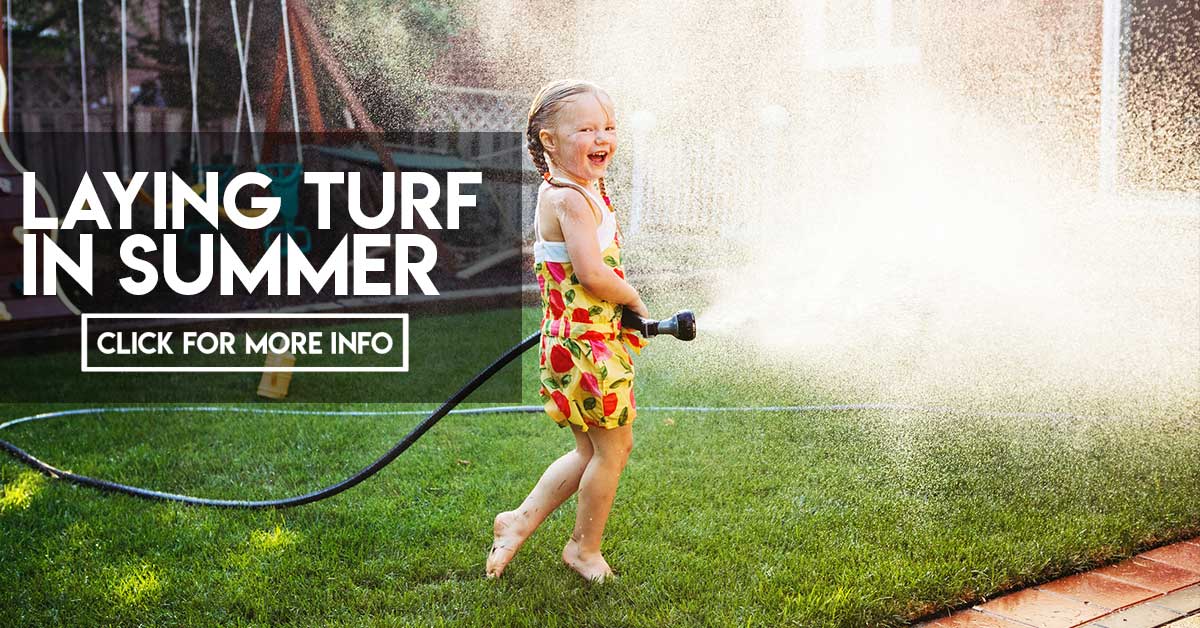 Laying Turf In Summer laying-turf-in-summer