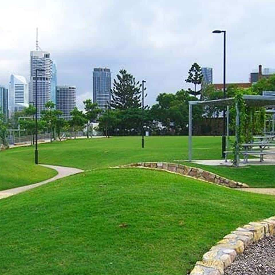 Nullarbor Couch Brisbane grass supplier Jimboomba Turf