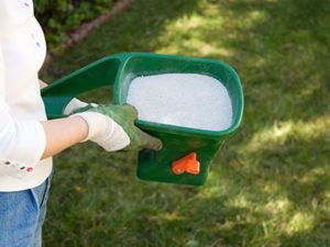 preparing_your_lawn_for_winter_fertilising