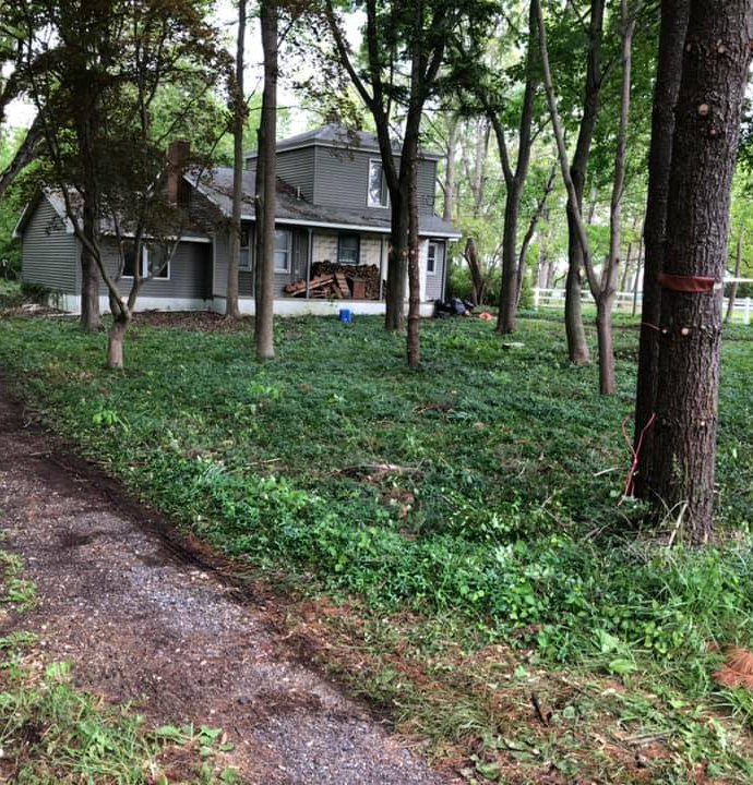 Commercial Tree Removal Franklinville & Glassboro, NJ CAS Tree Service