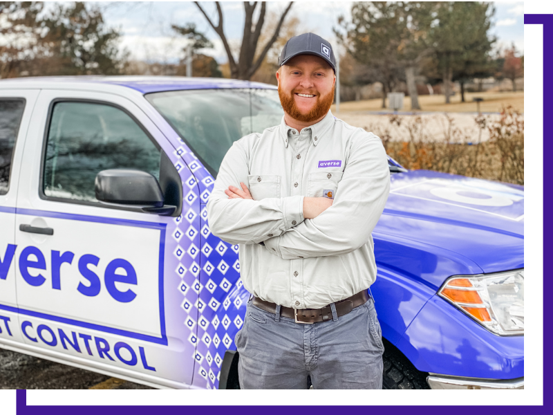 Averse Pest Pest Control Company in Boise, Idaho About Us