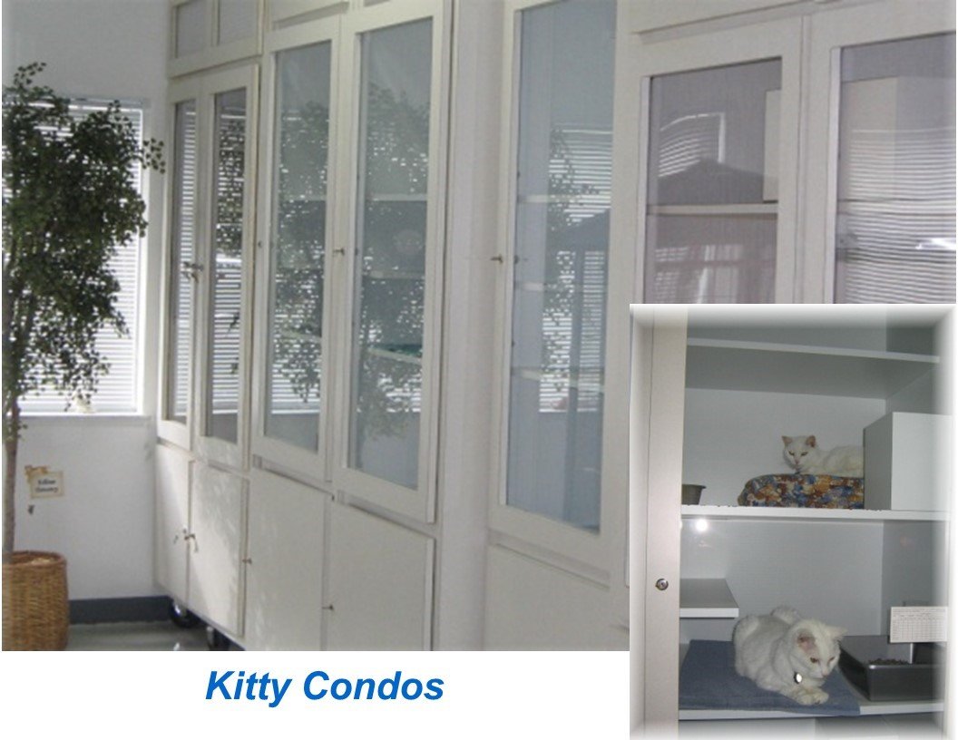 Pet Care Specials Yulee, Florida The Pet Care Center of Nassau