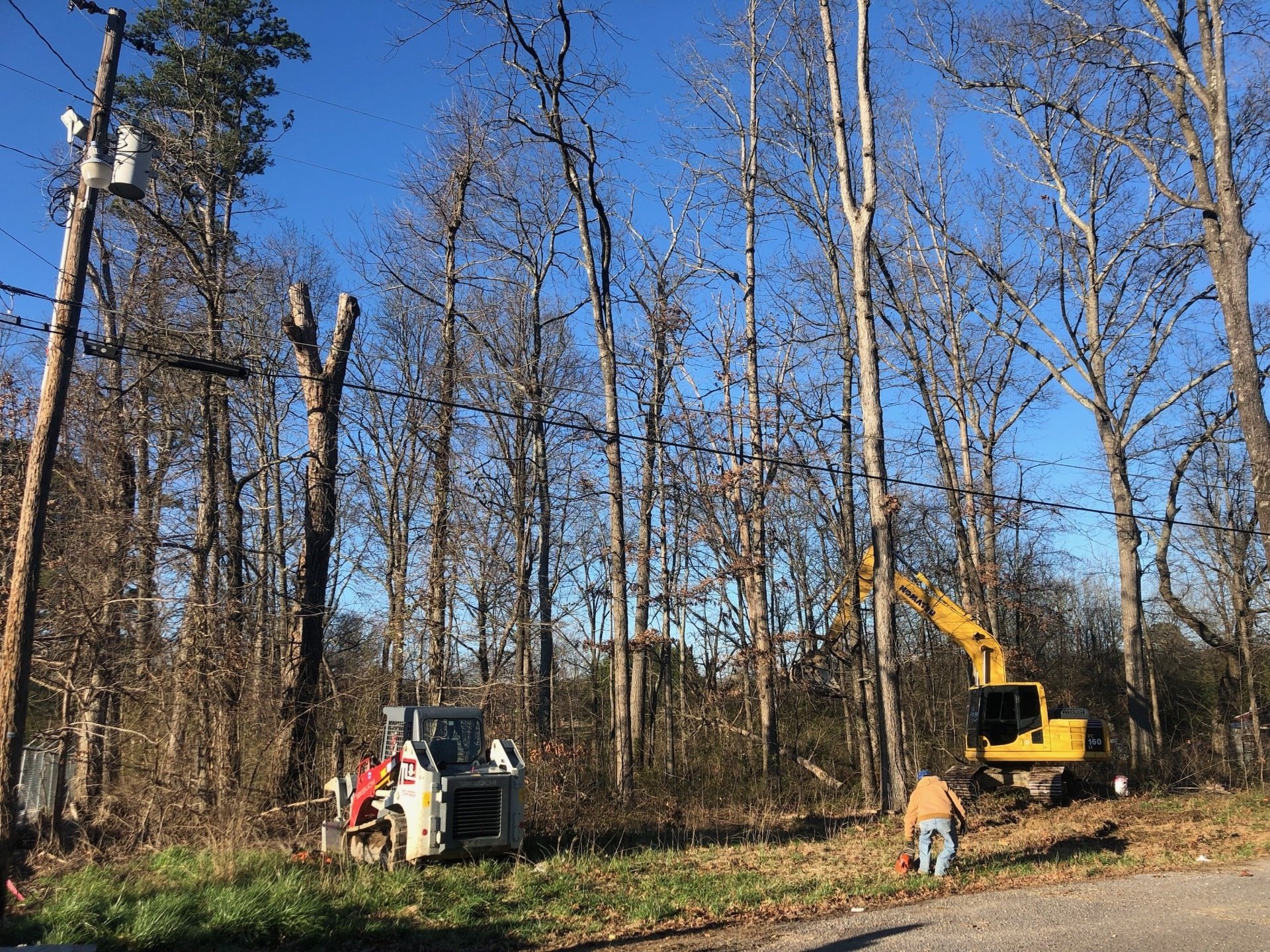 Tree Trimming | Albertville, Alabama | Denson Tree Service