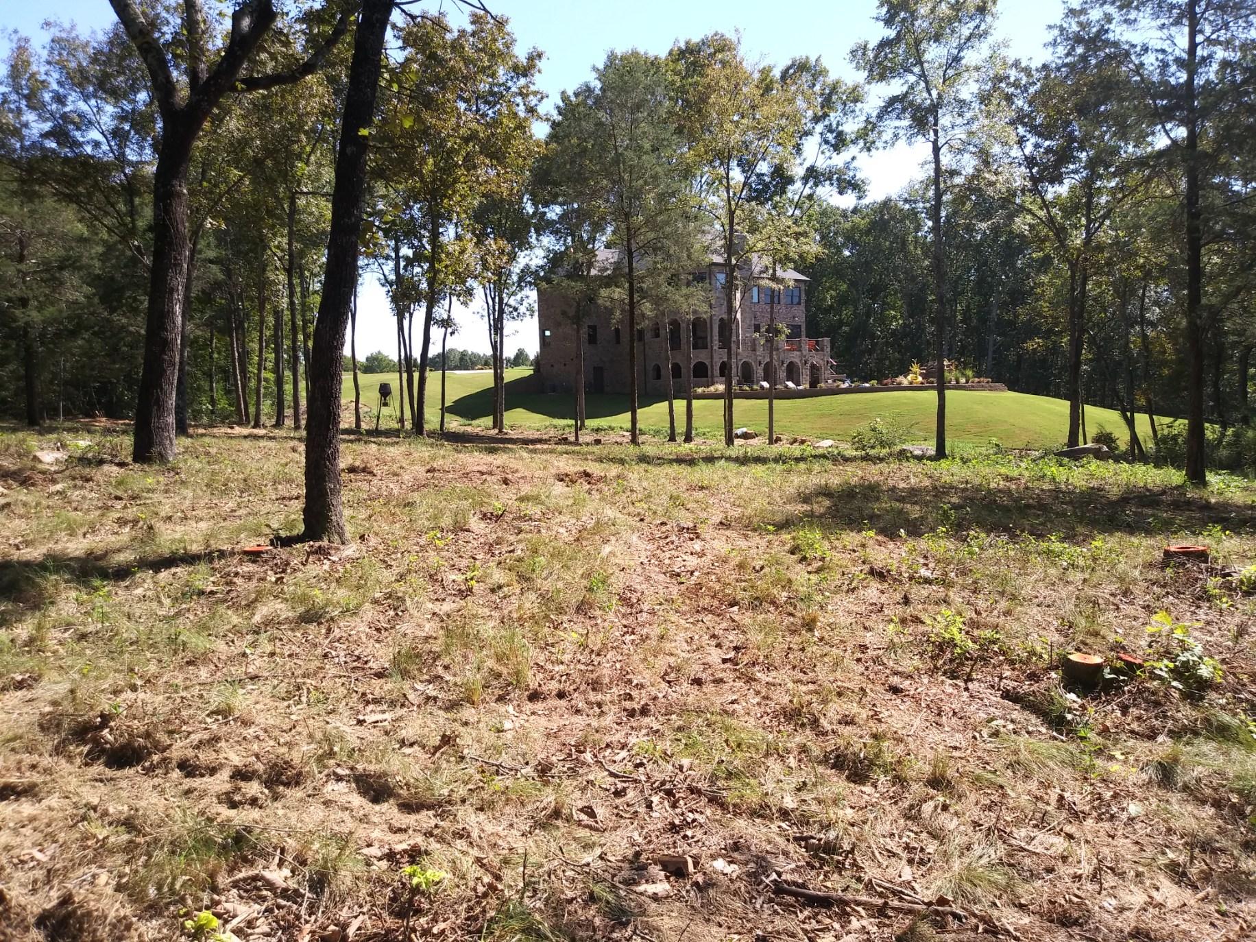 Tree Trimming | Albertville, Alabama | Denson Tree Service