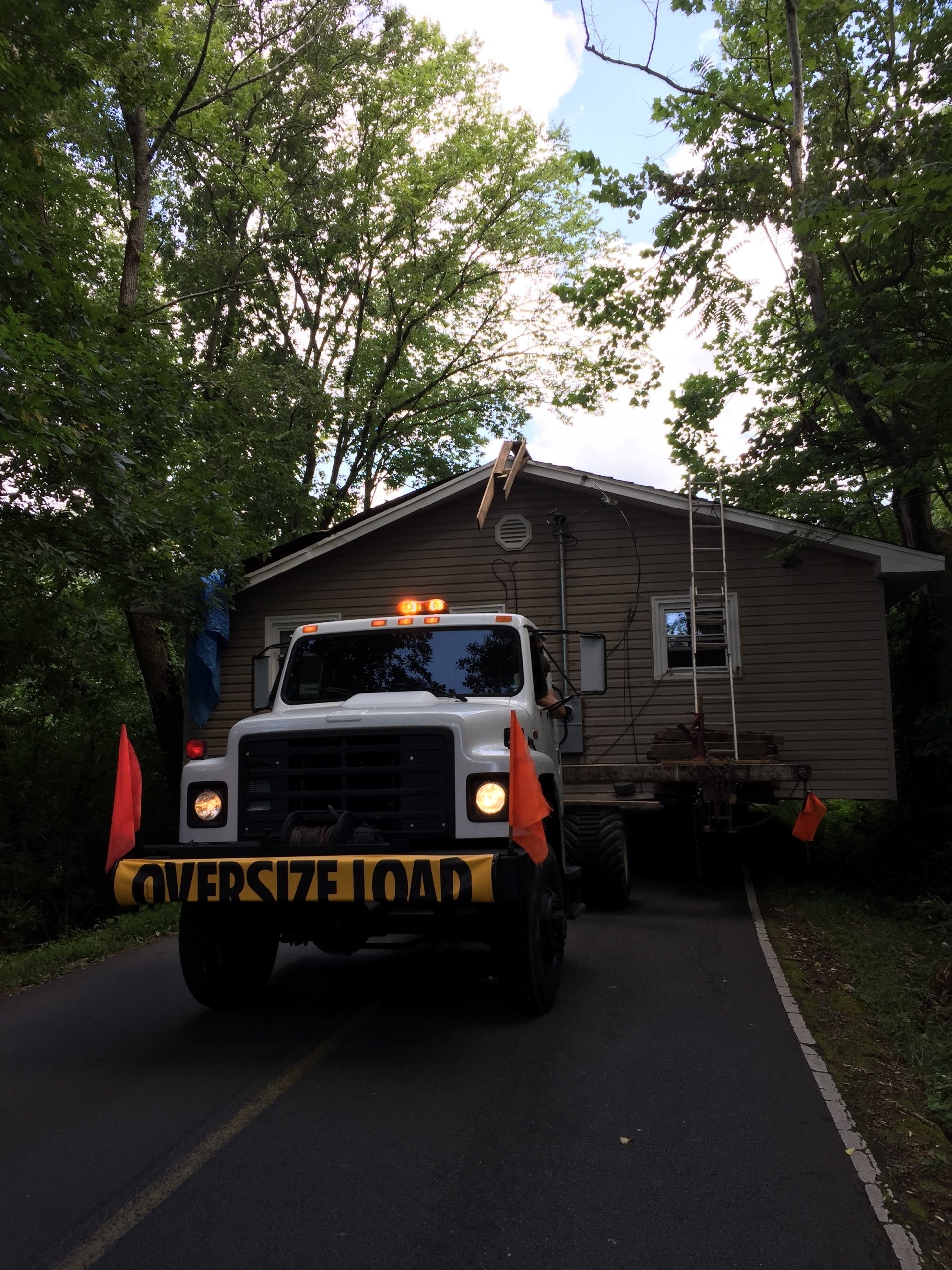 Tree Trimming | Albertville, Alabama | Denson Tree Service