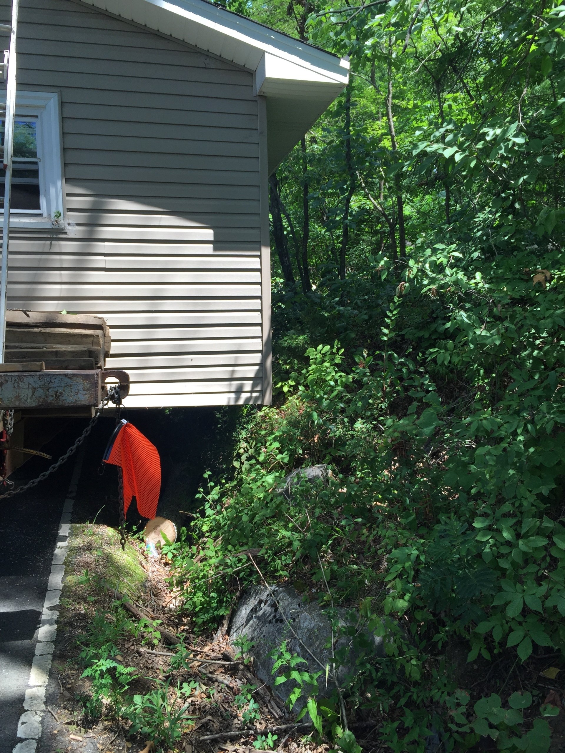 Tree Trimming | Albertville, Alabama | Denson Tree Service