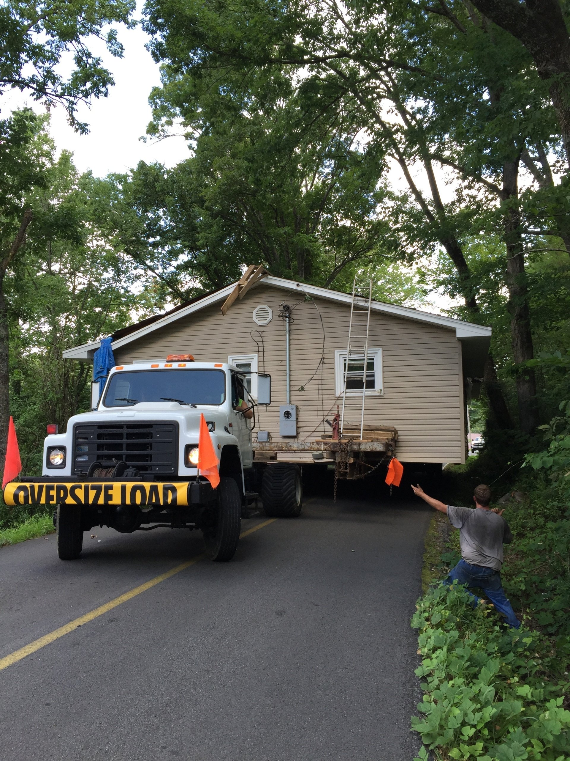 Tree Trimming | Albertville, Alabama | Denson Tree Service
