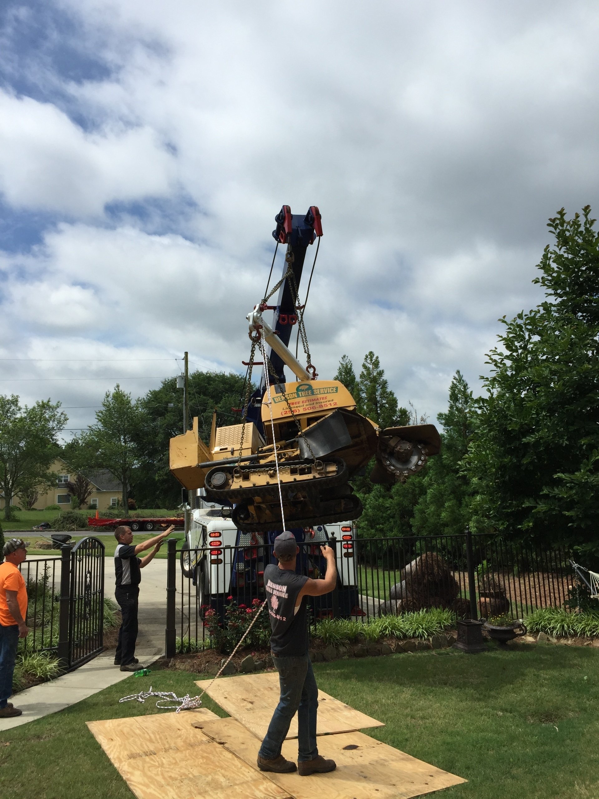 Tree Trimming | Albertville, Alabama | Denson Tree Service