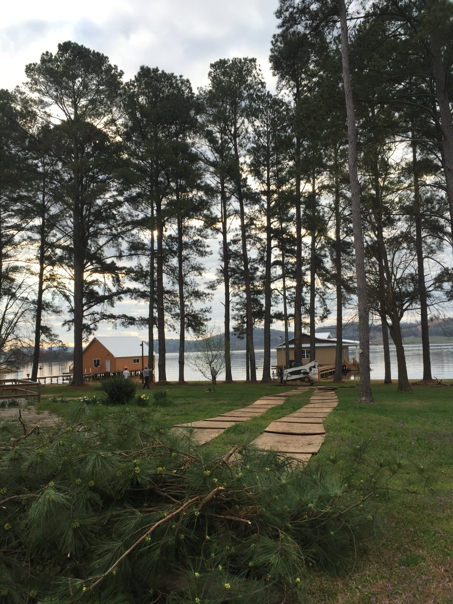 Tree Trimming | Albertville, Alabama | Denson Tree Service