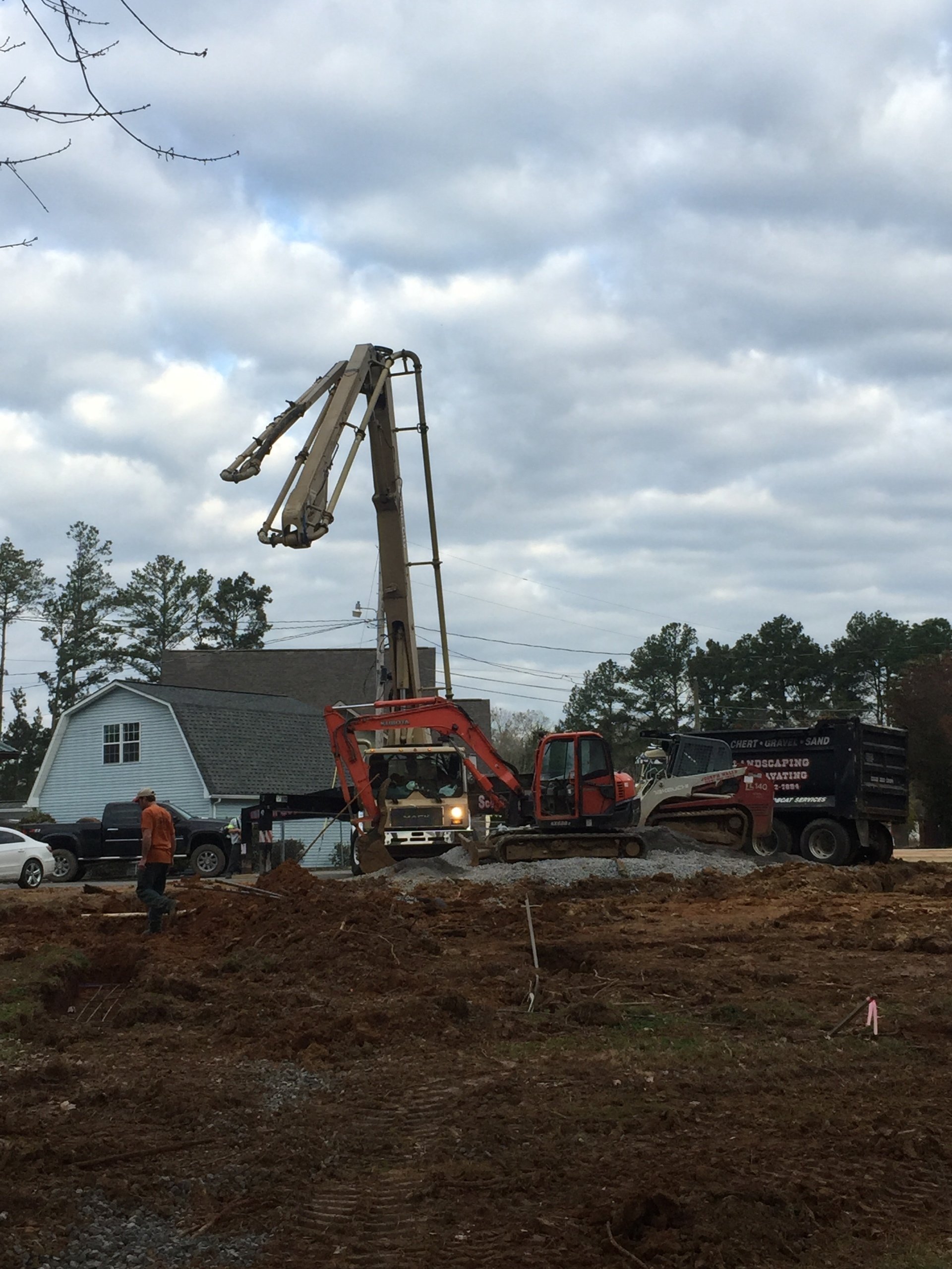Tree Trimming | Albertville, Alabama | Denson Tree Service