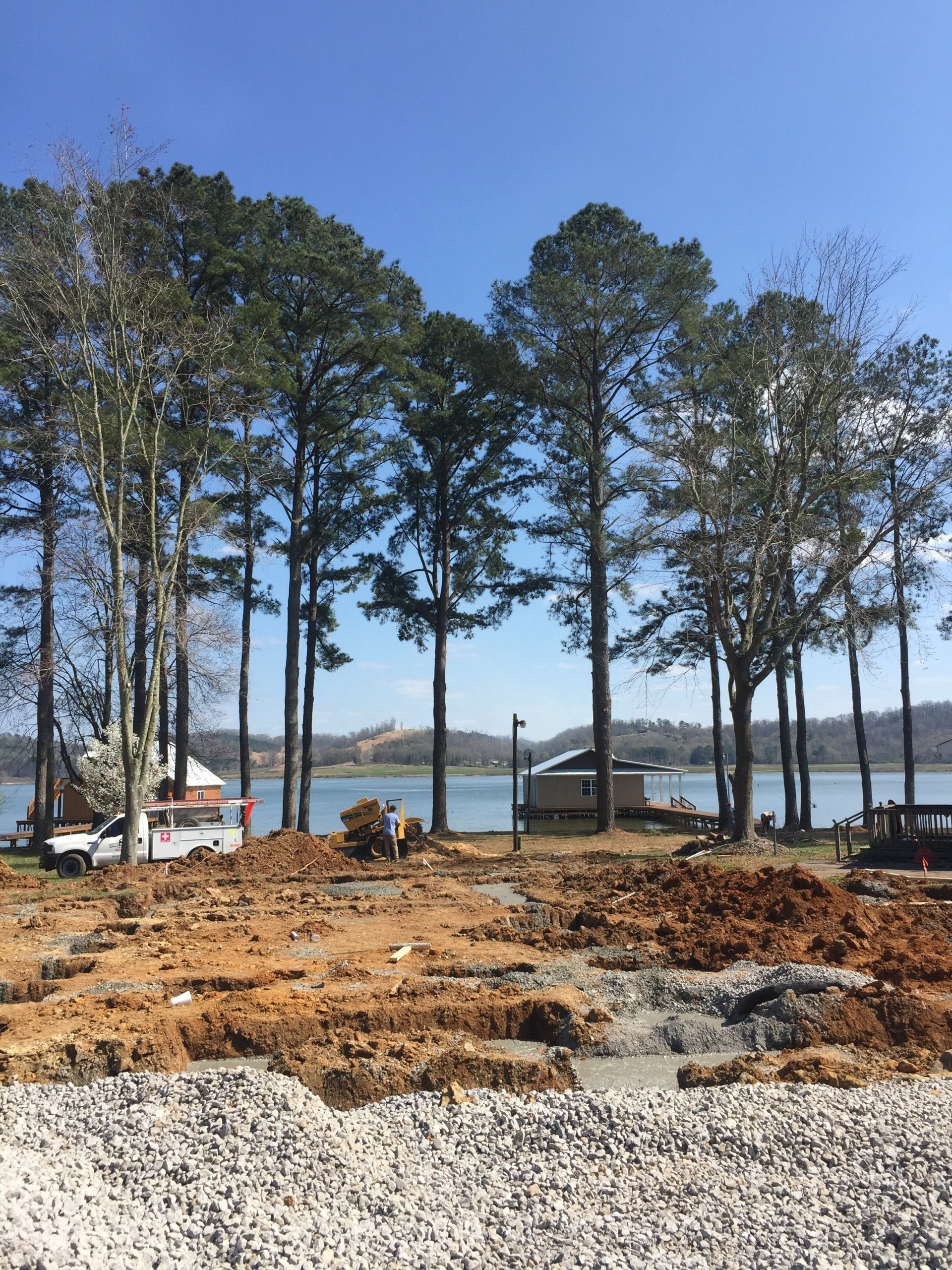 Tree Trimming | Albertville, Alabama | Denson Tree Service