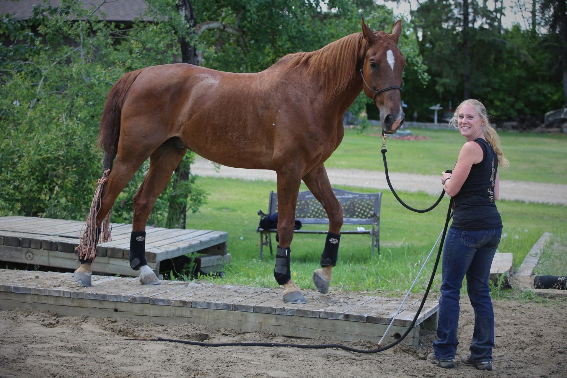 Stride High Stables Equestrian Stable