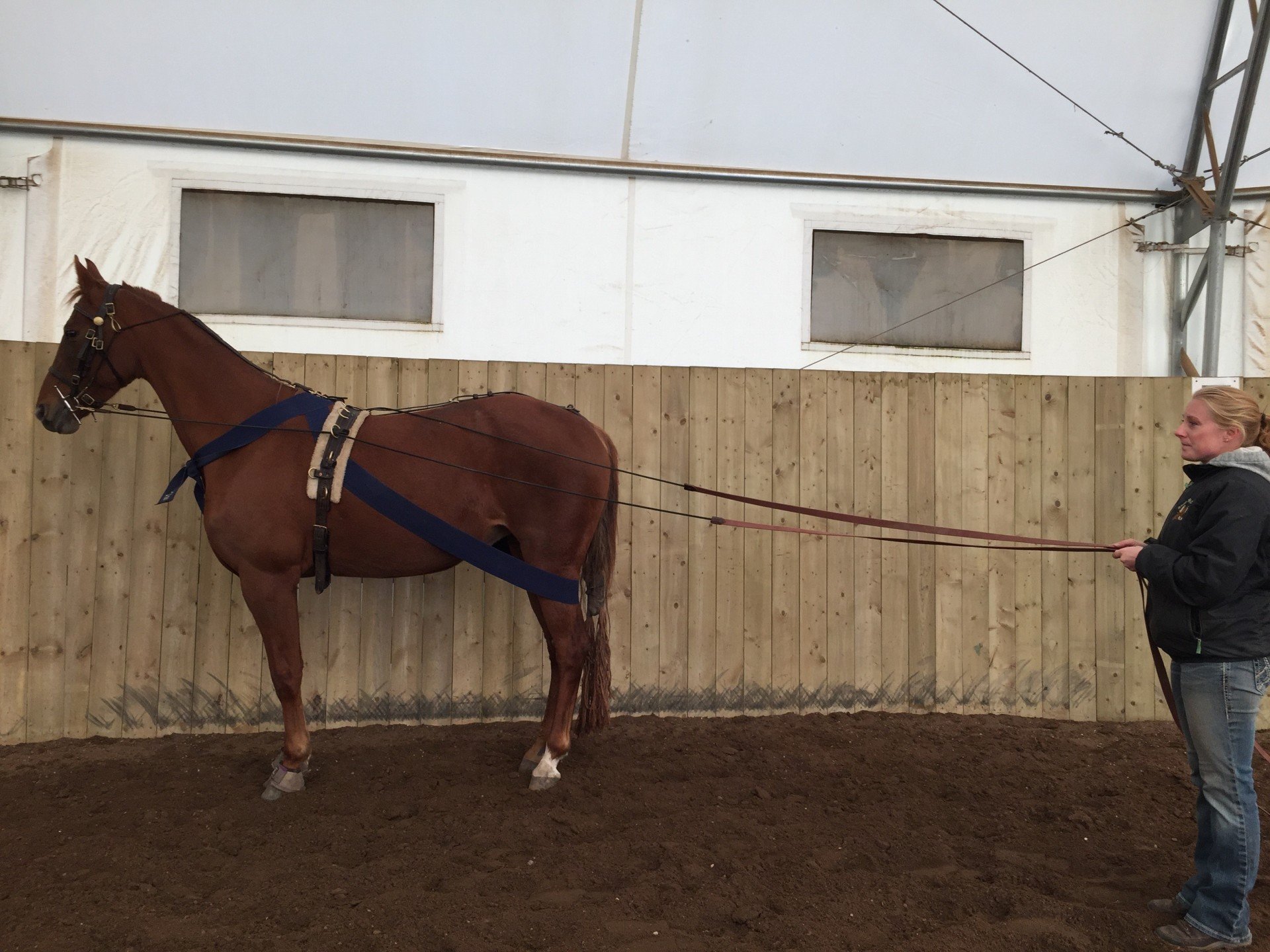 Stride High Stables Equestrian Stable