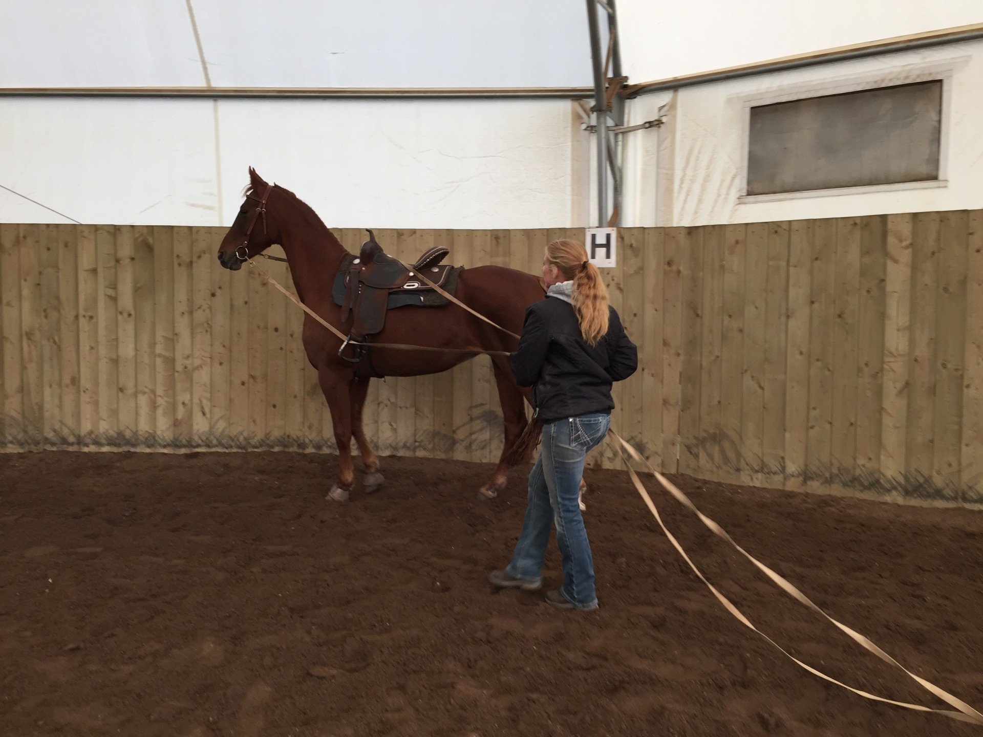 Stride High Stables Equestrian Stable