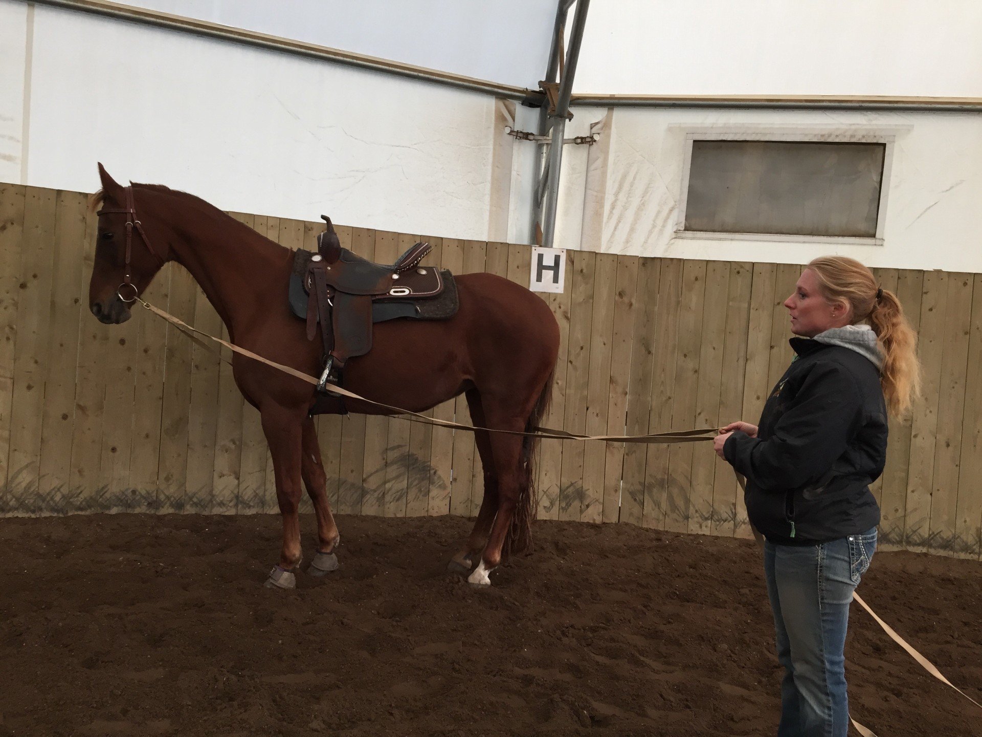 Stride High Stables Equestrian Stable