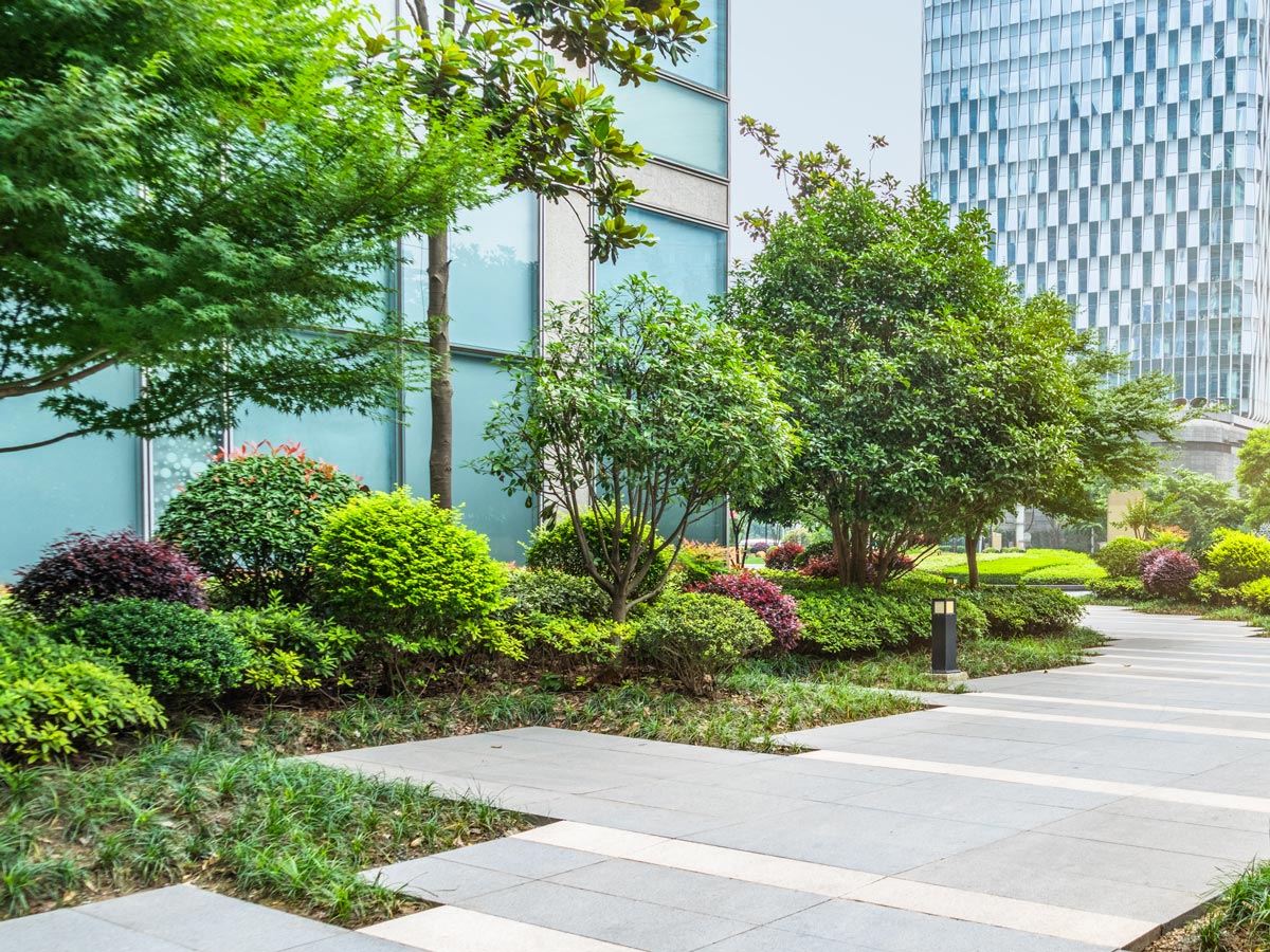 Commercial Landscaping & Irrigation Decatur, TX Superior Lawn