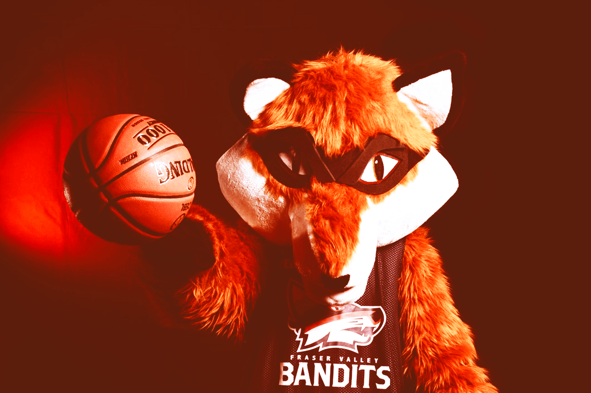 Vancouver Bandits Professional Basketball Team