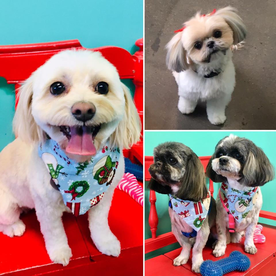 Gallery Johnny's Doghouse