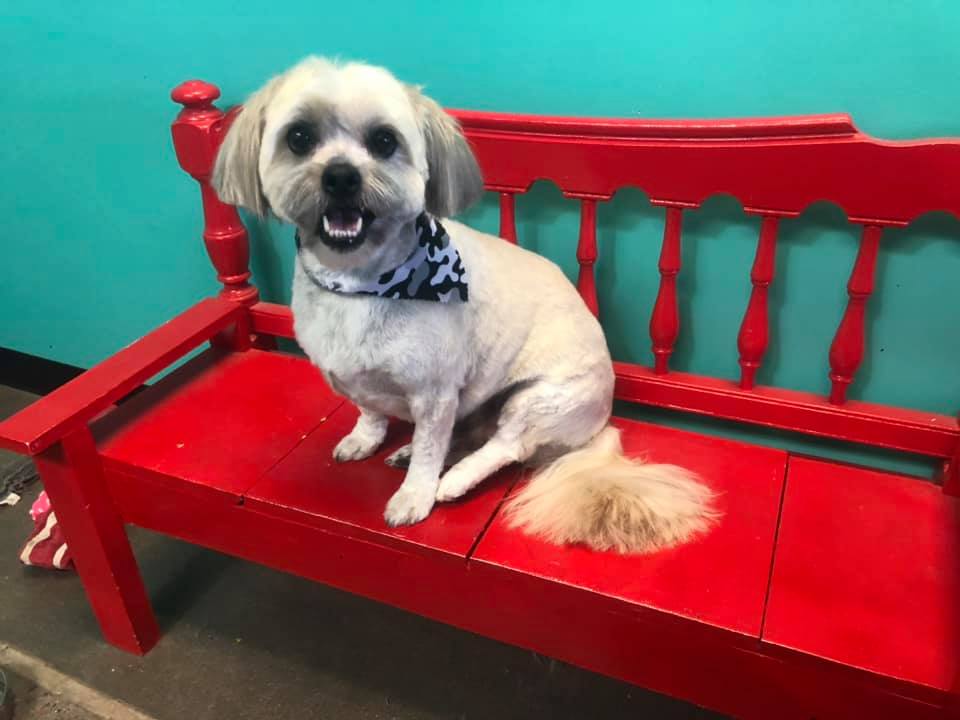 Gallery Johnny's Doghouse