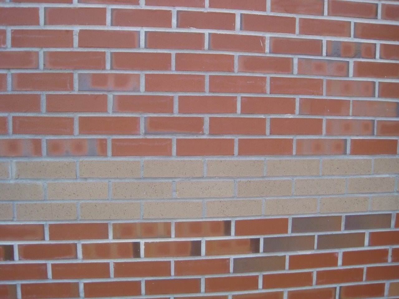 Flashed Smooth Palmetto Brick
