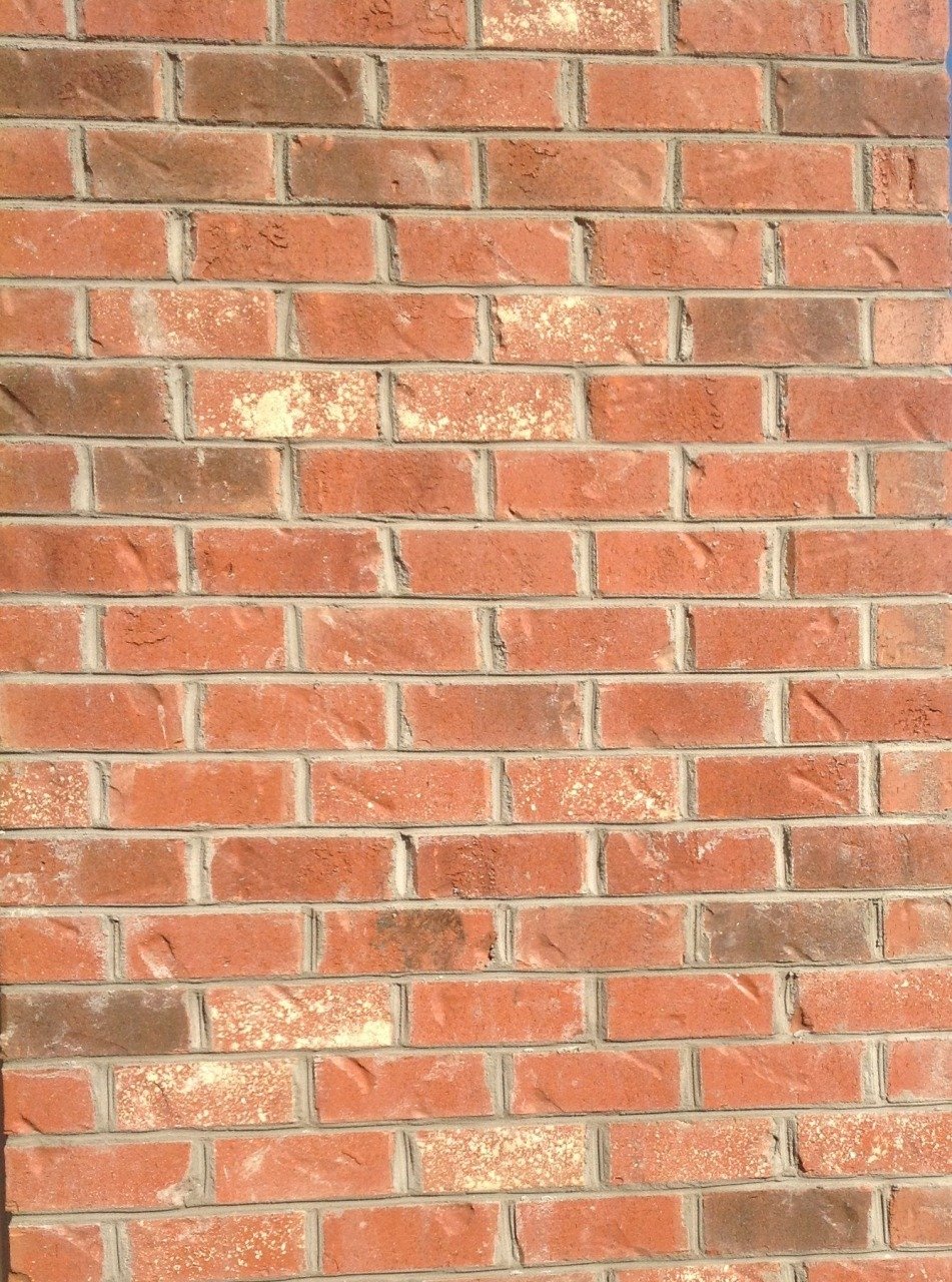 Terra Blend | Palmetto Brick