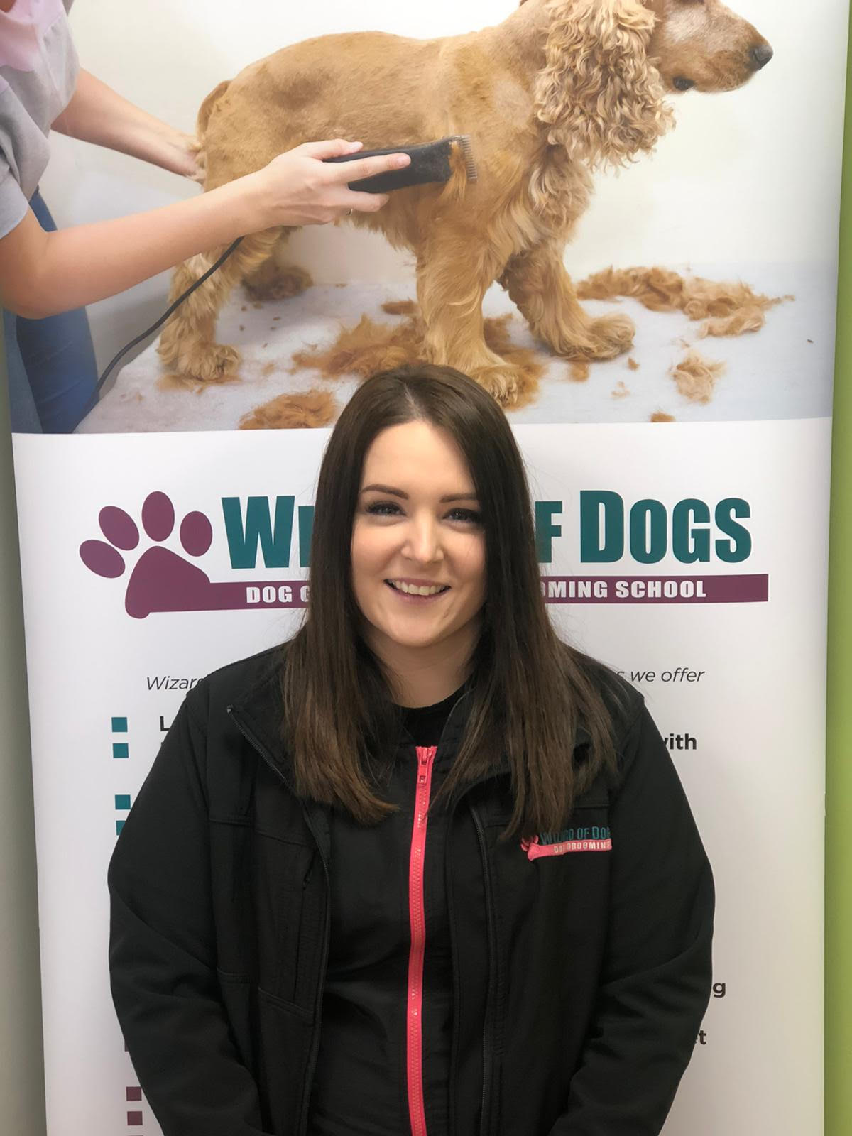 Dog haircuts in Cookstown, Northern Ireland