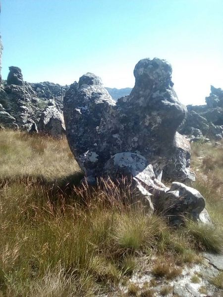 Chimanimani Tour Guide | Hiking Trips