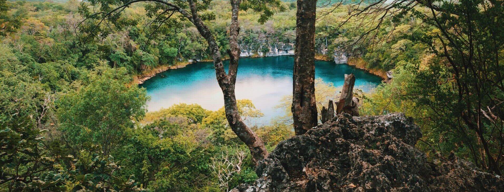 Alkaline Hydrolysis Washington Cremation Centers