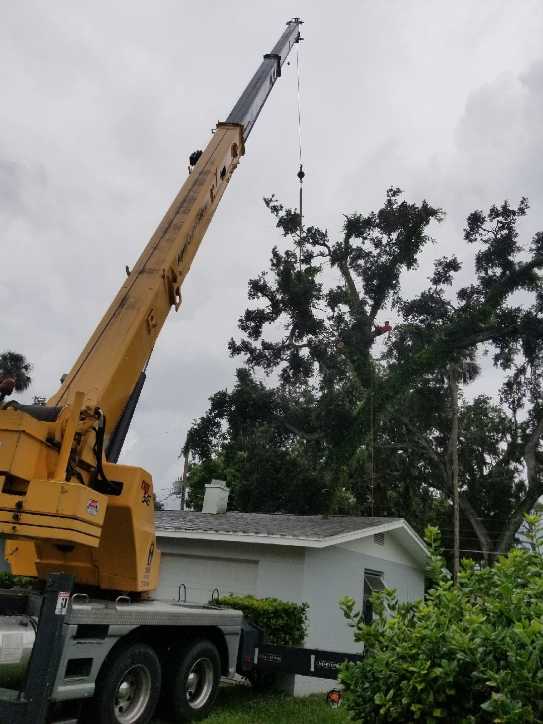 J&K Tree Service Large Tree Removals & Trimming Serving FL