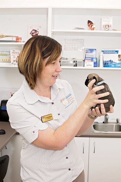 Dr Samantha Morrow — Veterinary Services in Nanango, QLD