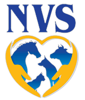 Nanango Veterinary Surgery