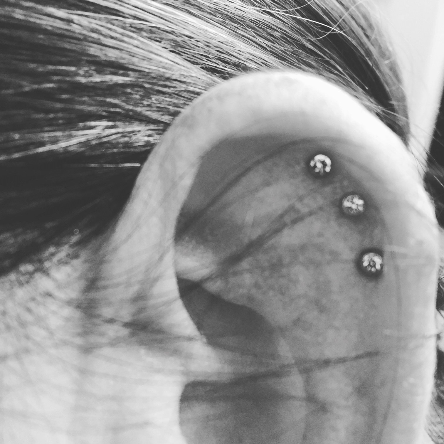 Body Piercing Shop In Wilmington, NC | Tattoo Parlor, Studio, Tattoo Ideas