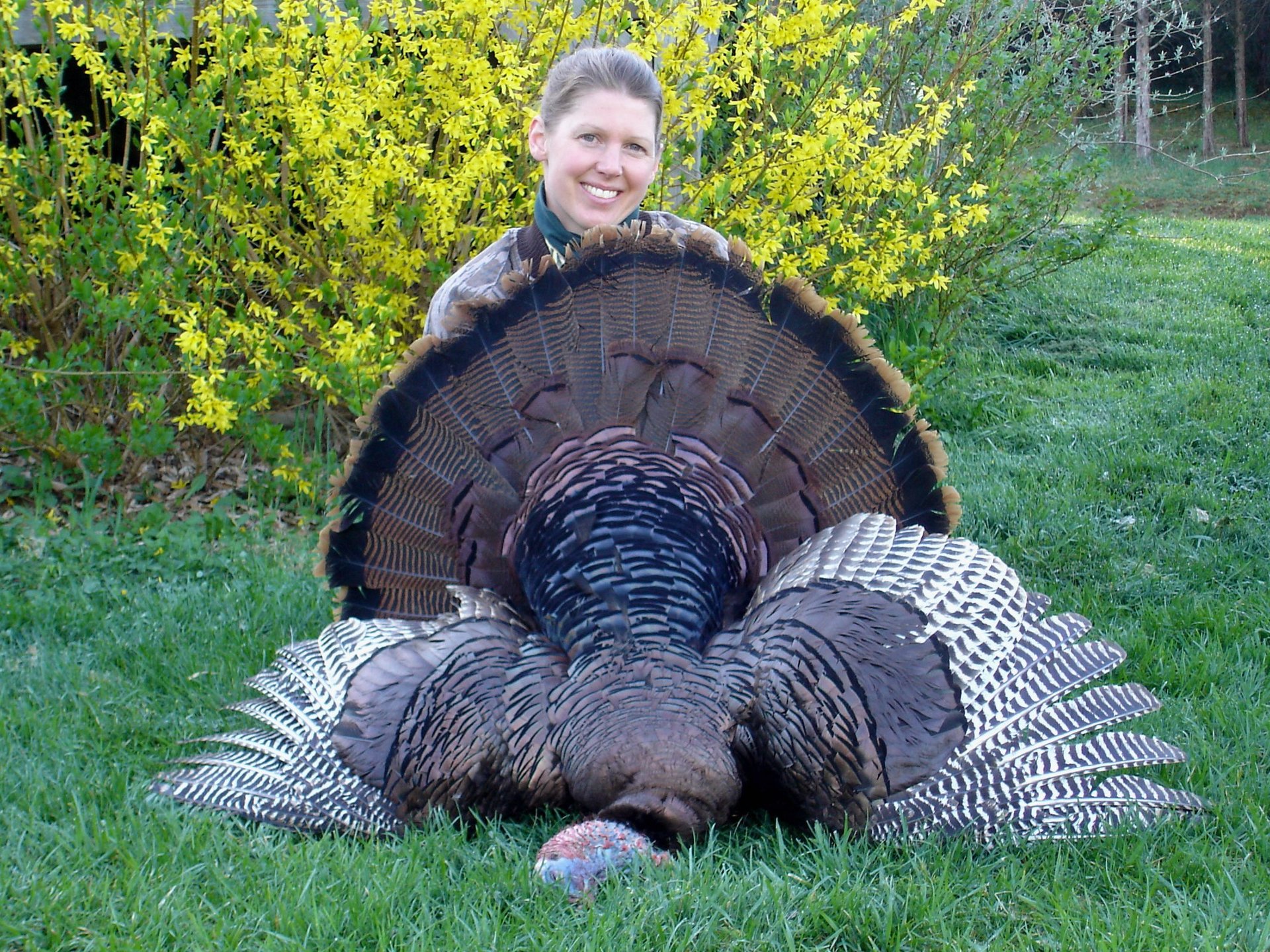 Hunting Seat Reviews The Hunter's Smart Seat® Reviews