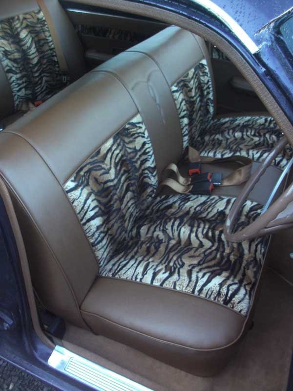 brown and animal striped interior front seats