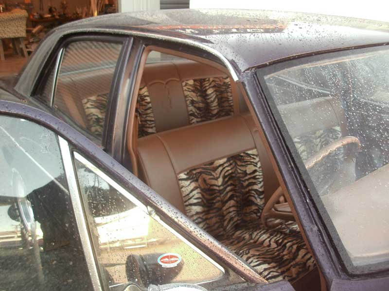 brown and animal striped interior upholstery