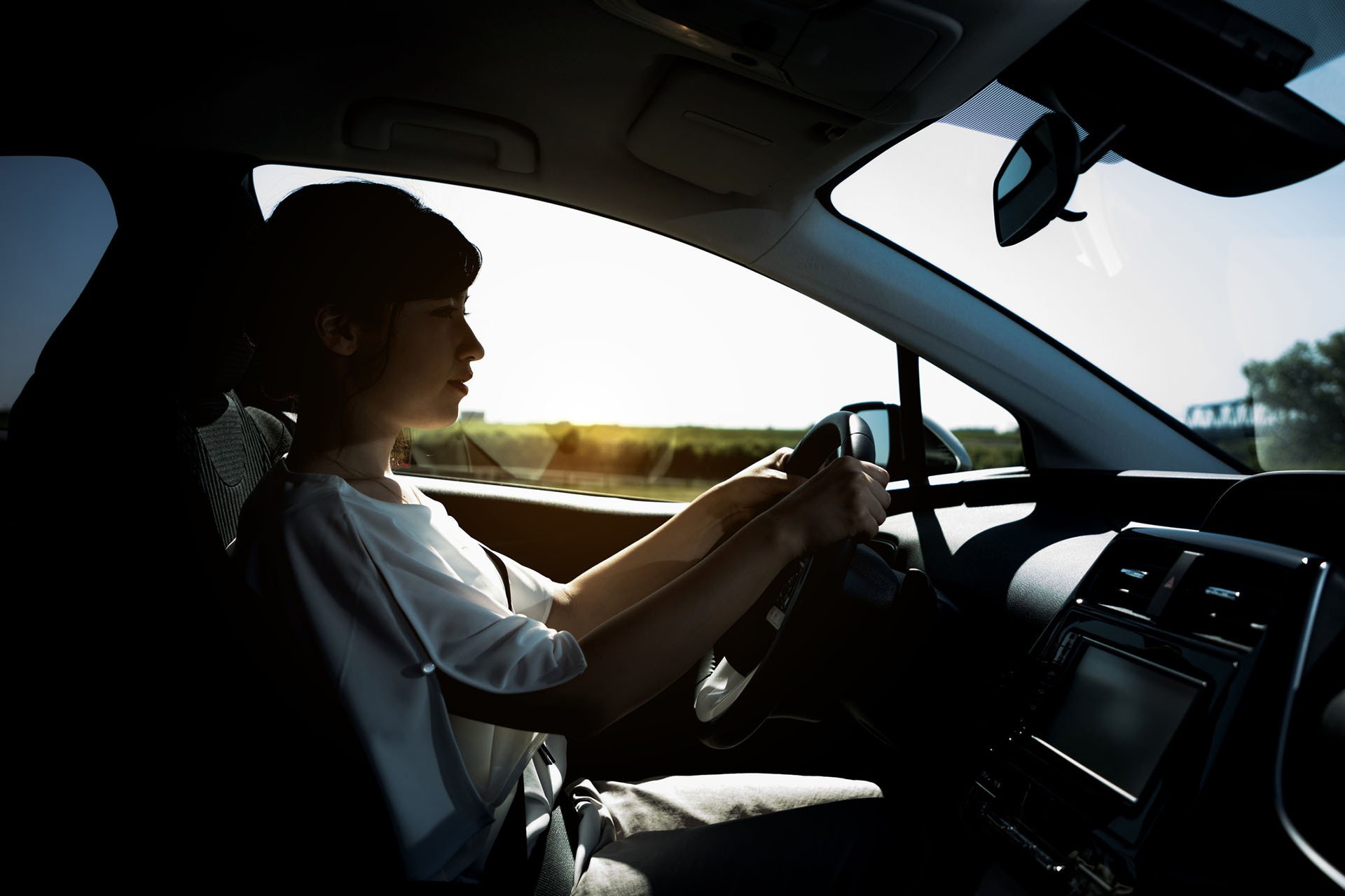 DPS Road Tests Houston, TX Driving School of Houston