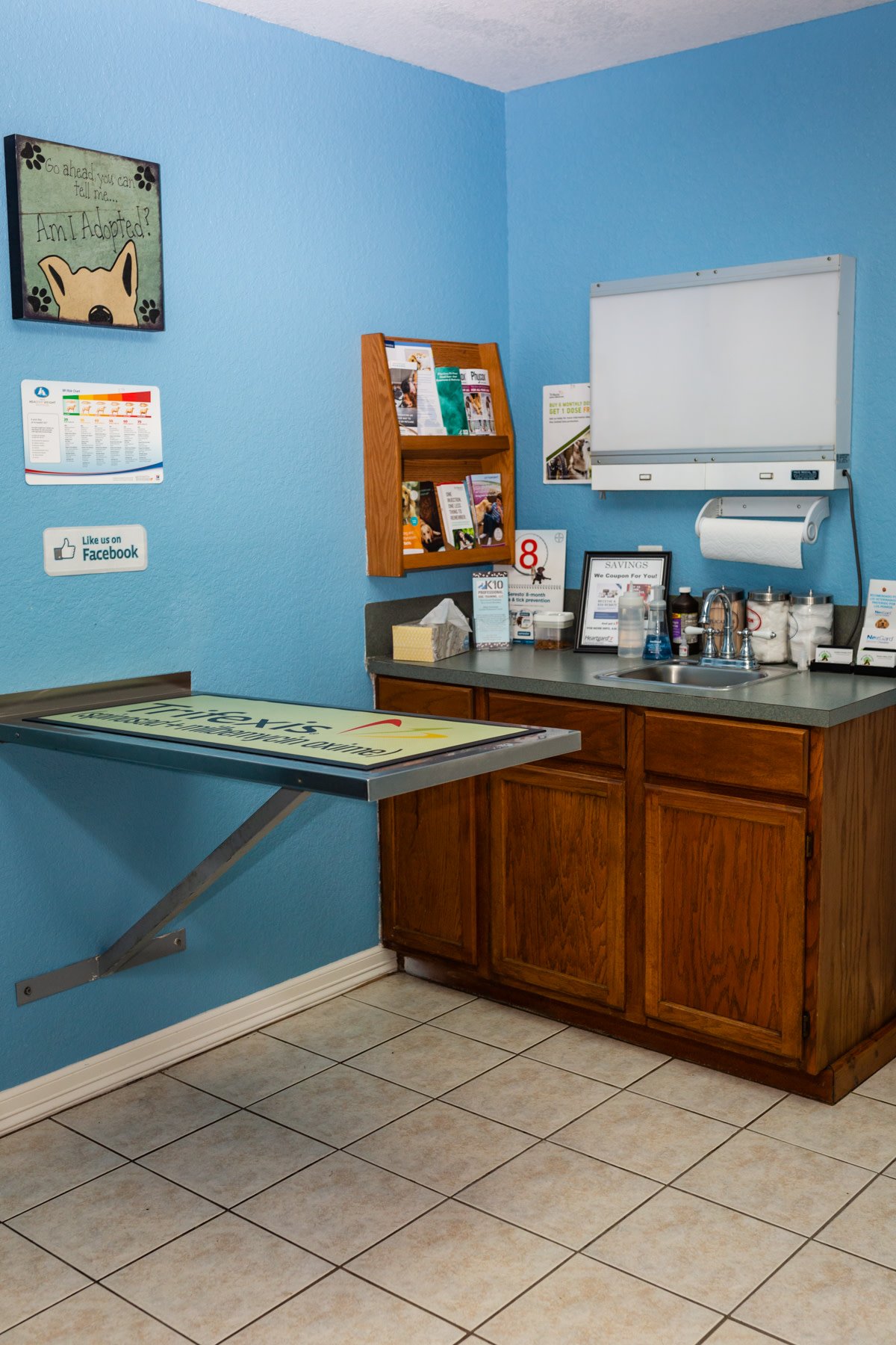 Brazos Woods Veterinary Clinic Lake Jackson, TX