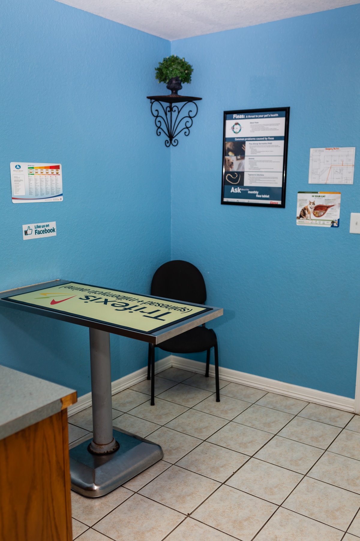 Brazos Woods Veterinary Clinic Lake Jackson, TX