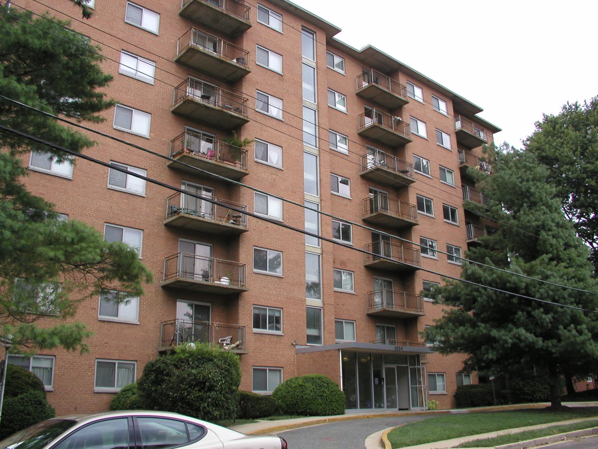 Lauren Towers Bernstein Brothers Management