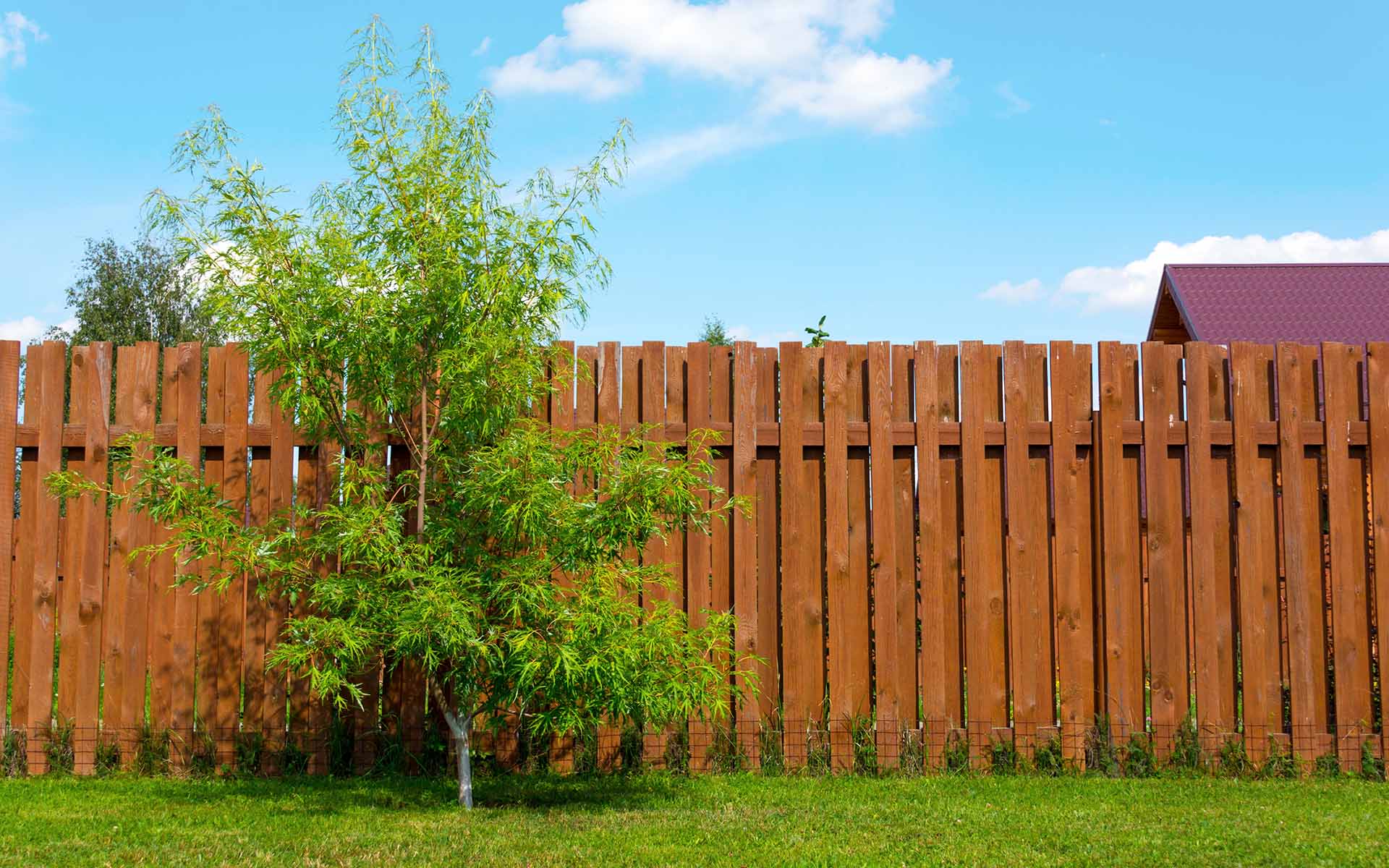 Fencing & Decking Solutions in Luton M & D Paving