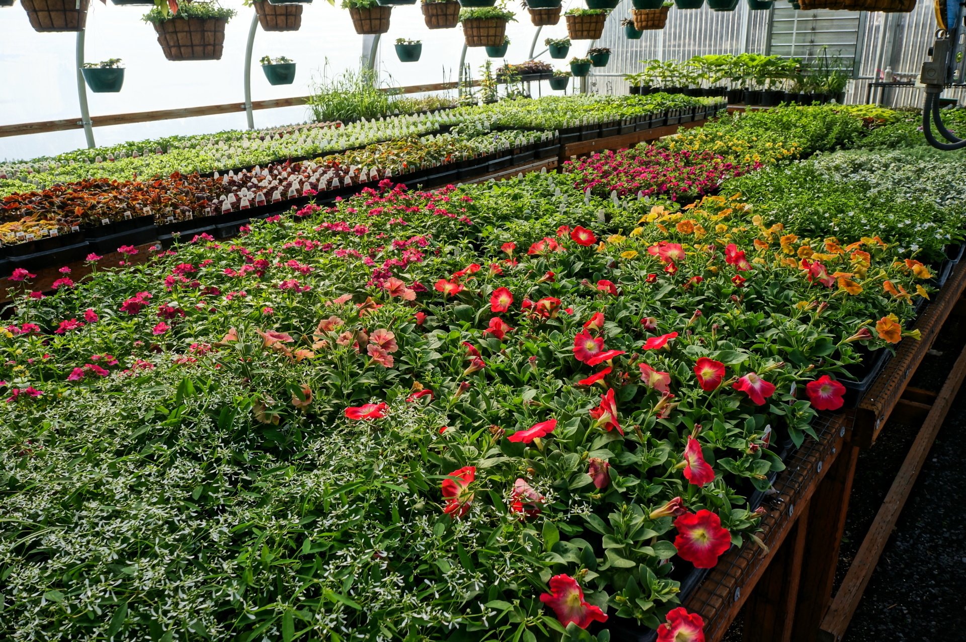 Spokane WA Smart Gardens Nursery Greenhouse